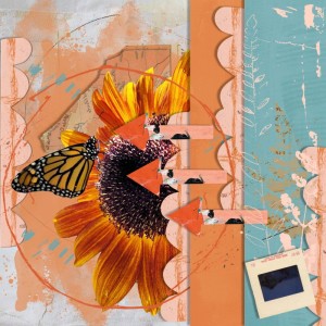 Love Of Monarchs