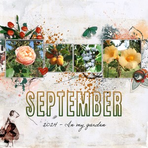September in my garden