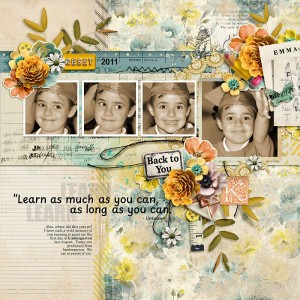 2011-Alex-Learn-as-Much-as-You-Can