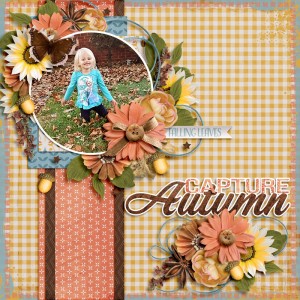 Capture Autumn
