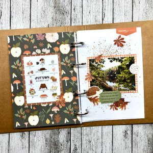 Autumn favorites