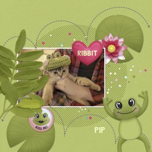 230430_frog pip.jpg