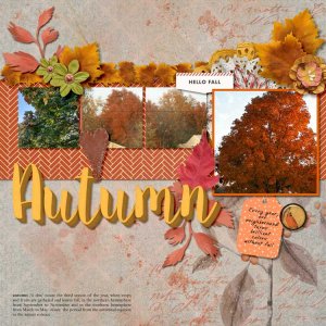 fall-color.jpg