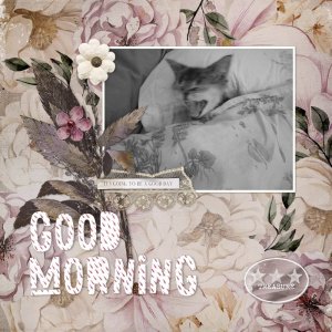 230420_good morn.jpg