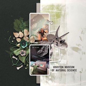 HMNS.jpg
