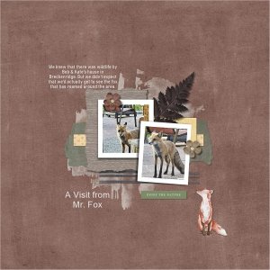 A Visit From Mr. Fox.jpg