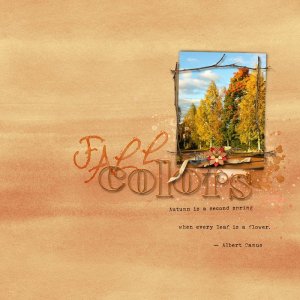 Fall Colors