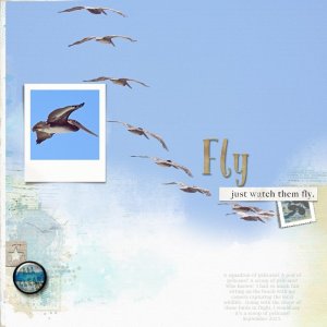 Fly