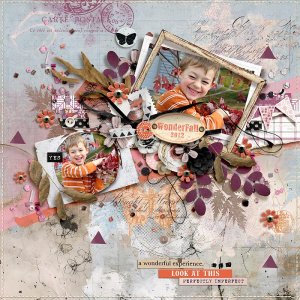 2012-WonderFall.jpg