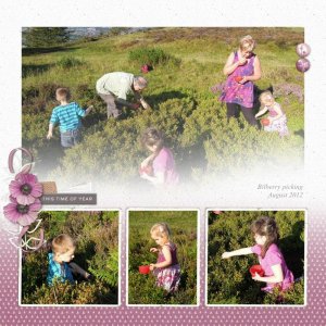 Bilberries