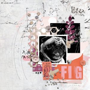 Fig