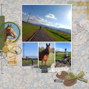 DSD Recipe Chall | Bike Break