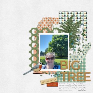 BigTree