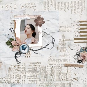 Polly Inspiration Scrap Challenge | DSD 2025