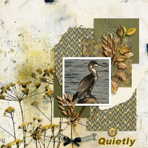 Quietly