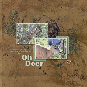 Oh Deer - Colorado 2025.jpg