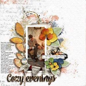 Cozy Evenings