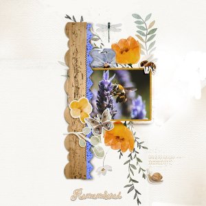 Lavender