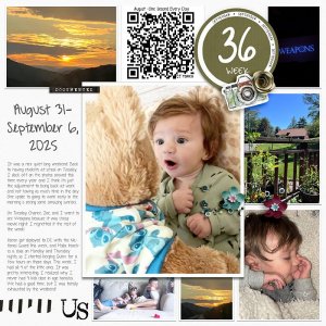 2025 | Week 36