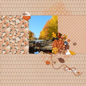 enjoy-autumn.jpg