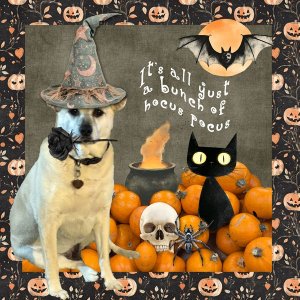 ExtractionTechniqueChallenge_HalloweenChallenge_janisn.jpg
