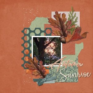 Autumn Sunrise.jpg
