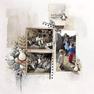 Penguins