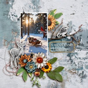 A Woodland Christmas