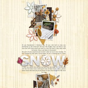 2025-11-11-first-snow-_600web.jpg