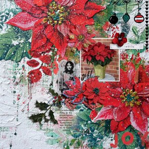 Poinsettia