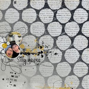 20250322-Silly geese.jpg