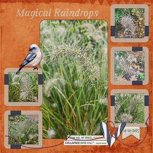 Magical Raindrops