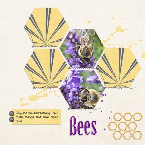 Bees