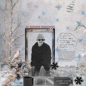 Faded-Polaroids II - Wintered