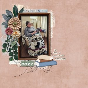 Cozy Comfort.jpg
