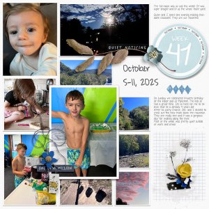 2025 | Week 41