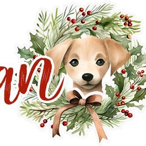 Siggy_Dec 2025.jpg
