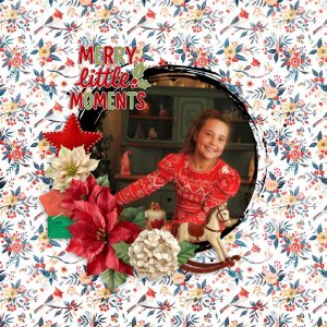 Merry Little Moments