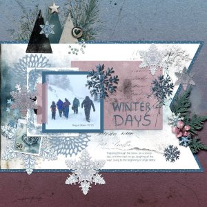 Snowy day.jpg