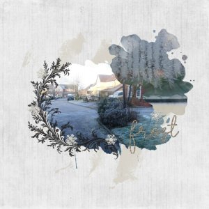 Frost