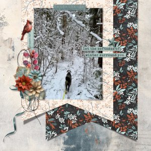 Softness of Winter