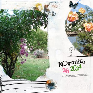 November in the garden