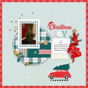 Christmas Joy