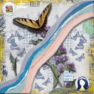 The Beauty of Butterflies.jpg