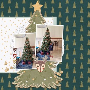 Oh Christmas Tree