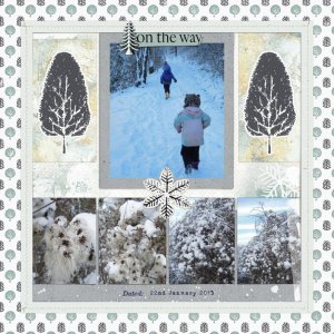 Snow Walk