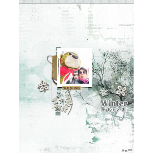 Winter memory