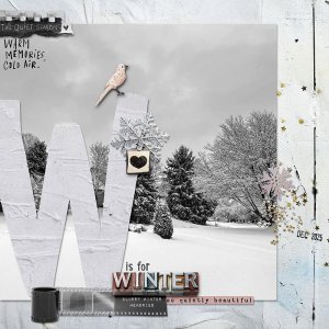 W is for winter MOC13