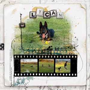 Lycan