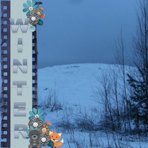 Polar night.jpg